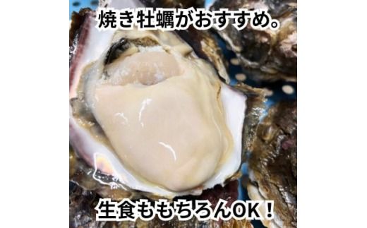 特大!天然岩牡蠣6コ(約5kg～6kg・特上・殻付き生食用)CAS冷凍カキ 海鮮バーベキューBBQに