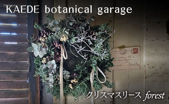 クリスマスリース（forest）リース クリスマス 直径約30cm インテリア ドライフラワー 雑貨 プレゼント ギフト 贈り物 お部屋 玄関飾り 日進市 愛知県