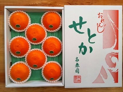 化粧箱 柑橘の大トロ ハウス せとか 厳選 8玉入