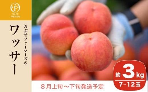 ワッサー 約3kg 7～12玉 ［おぶせファーマーズ］果物 フルーツ クール便 冷蔵便 長野県産 信州産 令和7年産【2025年8月上旬〜下旬発送】［F-39］