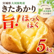 じゃがいも きたあかり 5kg 産地直送 農家直送 野菜 キタアカリ  甘い ホクホク ポテトサラダ コロッケ じゃがバター 常温 保存 備蓄 大容量 サイズ 不揃い 混合 家庭用 おうちごはん 送料無料　大河原町