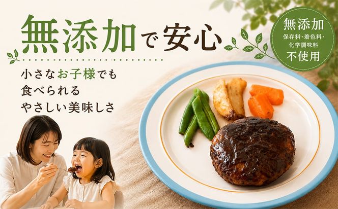 【茨城県共通返礼品】 ◎無添加◎ 4種のハンバーグ 食べ比べ ローズポーク使用 詰合せ 国産 特製ソース 10個 個包装  ハンバーグ 冷凍 小分け 簡単 詰め合わせ はんばーぐ 惣菜 ソース付 ジューシー 柔らかい 弁当 特製 人気 ポーク 冷凍食品 おかず K2716
