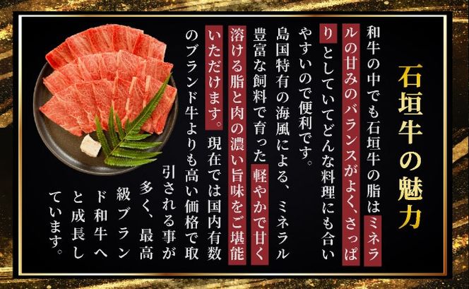 【2025年11月以降順次発送】希少な特選石垣牛をご家庭で！！ロース焼肉用200g×2パック & 石垣牛MARU秘伝の焼肉タレ100ml×1本