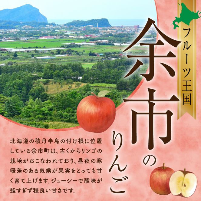 【2025年11月下旬より発送】フルーツ王国余市産「ふじ」10kg【ニトリ観光果樹園】_Y074-0152