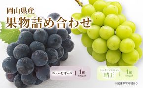 ぶどう 2026年 先行予約 詰合/ニューピオーネ 1房(480g以上)・シャインマスカット 晴王 1房(480g以上) 化粧箱入り ブドウ 葡萄 岡山県産 国産 フルーツ 果物 ギフト