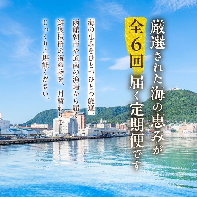 はこだて 海の幸 定期便 50万円 全6回 厳選 海の恵み 毛がに 本まぐろ たらばがに いくら 紅鮭ほぐし とろサーモン 昆布〆 いかそうめん 生ずわいがに かに 松前漬 プレミアム 海鮮瓶 鮮度抜群 海産物 月替り 堪能 お取り寄せ 50万 北海道 函館市 送料無料_HS001-006