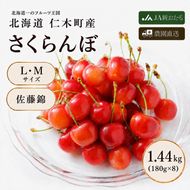 2027年発送 北海道 仁木町産 さくらんぼ 佐藤錦 1440g（180g×8パック） 美味しい 人気 おすすめ お裾分け サクランボ チェリー フルーツ 果物 果物類  仁木町 仁木 [JA新おたる]