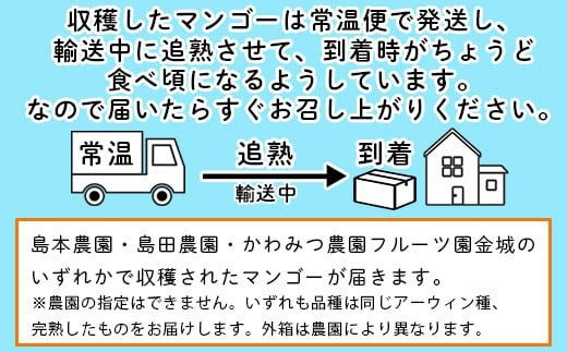 ＜先行予約＞「マンゴー」 ⽯垣島ど真ん中 まるま〜さん マンゴー 1kg (2～3玉) ≪2026年7月頃より順次発送予定≫ (アーウィン種)【 産地直送 マンゴー アーウィンマンゴー アップルマンゴー 沖縄県 八重山 石垣産 アーウィン種 マンゴー フルーツ 果物 】 IT-1