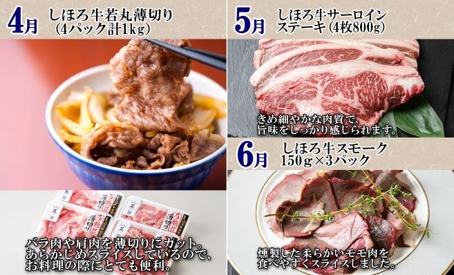 ■定期便■ 北海道 牛肉づくし 定期便 全11回 牛肉 サーロイン ステーキ リブロース 切り落とし ローストビーフ 肉 牛 赤身肉 国産牛 肉 ビーフ 牛肉 冷凍 お惣菜 焼肉 頒布会 送料無料 十勝 士幌町【X36】