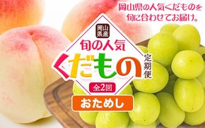 【先行予約】岡山県産 旬の 人気 くだもの おためし 定期便 全2回 桃 合計1kg（3～5玉前後） シャインマスカット 約650g(1房) 《7月上旬-11月中旬頃出荷》フルーツ 果物 定期便 お取り寄せ デザート 送料無料---osy_cmsmtei_24_18000_jul2---