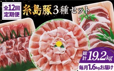 [全12回定期便]糸島 豚 バラエティ セット ( しゃぶしゃぶ / 肩ロース / とんかつ )糸島市 / トラヤミートセンター [AJD012] 国産 豚肉 とんかつ 肩ロース 詰め合わせ しゃぶしゃぶ
