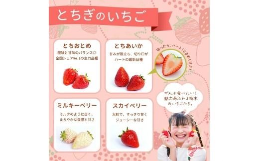 数量限定》紅白セット（とちあいか・ミルキーベリー） 270g×2パック