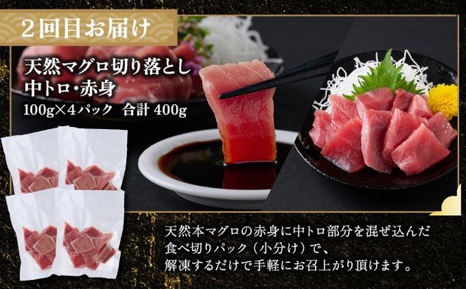 【全4回定期便】 タカシン水産厳選 高知の海鮮セット 定期便 福袋 海鮮 詰め合わせ タタキ まぐろ マグロ 本まぐろ ネギトロ かつお カツオ 鰹 かつおのたたき カツオタタキ たたき 魚介 高知 室戸 all!