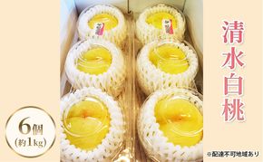 【2026年先行予約】 桃 岡山県産 清水白桃 6個（約1kg） 《2026年7月下旬-8月中旬頃出荷》 白桃 岡山 はくとう スイーツ フルーツ 果物 先行予約 数量限定 期間限定 岡山 里庄町 モモ もも 桃 