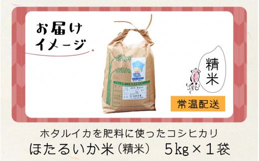 【訳あり】ほたるいか米（精米５kg）【通年発送】