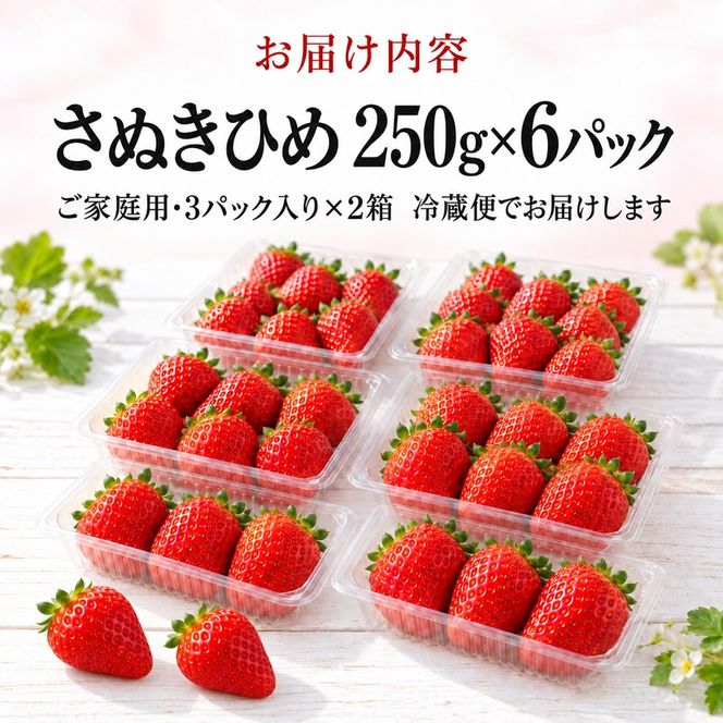 いちご さぬきひめ 香川県オリジナル品種 250g×６パック ご家庭用 大粒 高糖度 デザート スイーツ 苺 さぬき姫 ストロベリー フルーツ 果物 くだもの 冷蔵 お取り寄せ 五色青果 香川県 東かがわ市 46312655