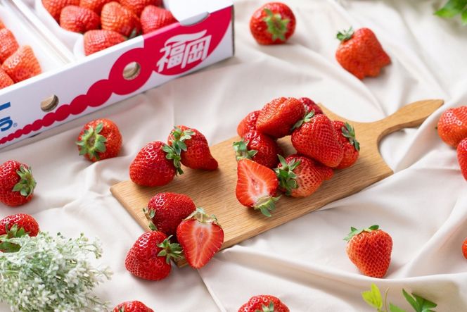 【2026年2月より順次発送】福岡産【春】あまおうDX(デラックス)4パック【南国フルーツ株式会社】_HA1908