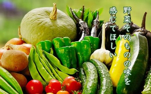 ［年6回定期便］ 農薬・化学肥料を使わずに栽培した野菜年6回定期便 OBUSE Meguru 野菜セット シーズンコース［おぶせファーマーズ］おまかせ 野菜 やさい 詰め合わせ 8～12種類 長野 信州 数量限定 産地直送 令和7年産 【2025年5～6月より順次発送】 ［FY-5］