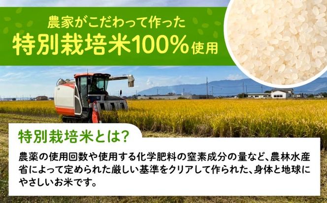 もち米 450g×2袋 もち米 米 愛西市 / 株式会社TONORI[AECT029]