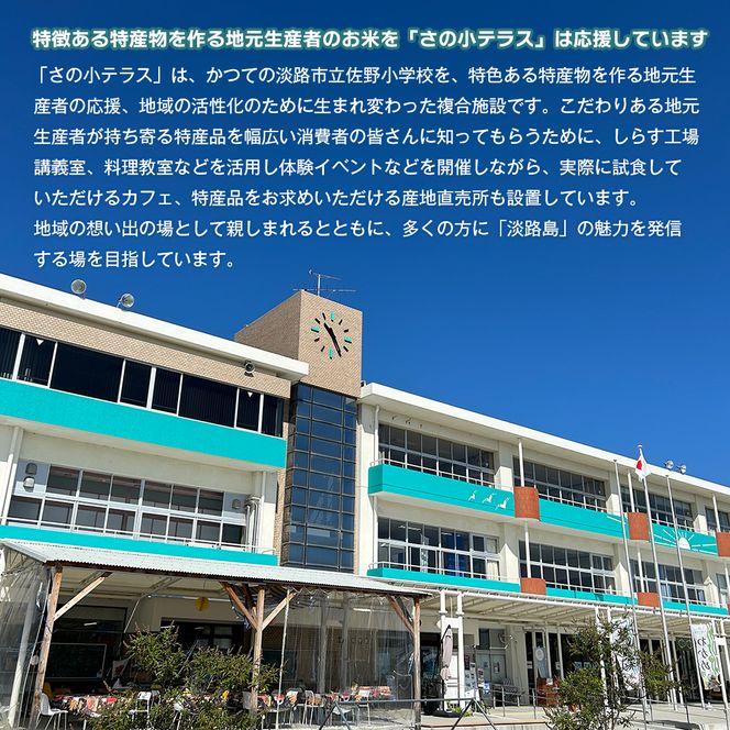 淡路島産キヌヒカリ 5kg （白米）