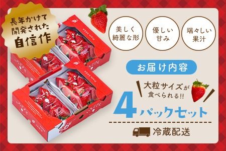 【先行受付 令和9年1月より発送】佐賀県産『いちごさん』4Pセット【苺 イチゴ ブランドいちご 大粒 果物 フルーツ デザート ふるさと納税】(H108101)