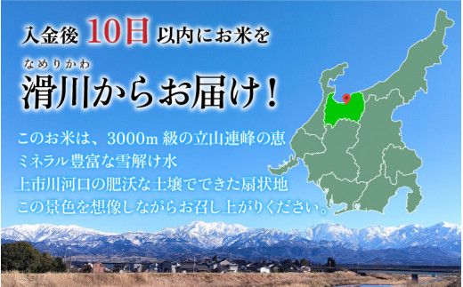 【訳あり】ほたるいか米（玄米30kg）【通年発送】