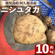 ＜先行予約受付中！2026年6月以降順次発送予定＞じゃがいも ニシユタカ(10kg) 国産 鹿児島県産 阿久根市産 じゃがいも ジャガイモ 芋 ポテト にしゆたか 野菜 期間限定 数量限定 ポテトサラダ コロッケ 常温 常温配送 【慶越農園】akn107-10