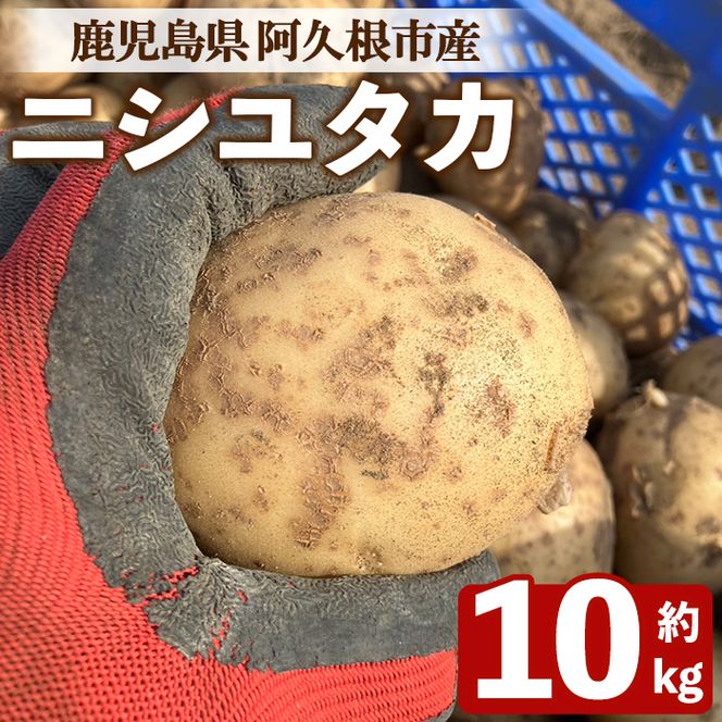 ＜先行予約受付中！2026年6月以降順次発送予定＞じゃがいも ニシユタカ(10kg) 国産 鹿児島県産 阿久根市産 じゃがいも ジャガイモ 芋 ポテト にしゆたか 野菜 期間限定 数量限定 ポテトサラダ コロッケ 常温 常温配送 【慶越農園】akn107-10