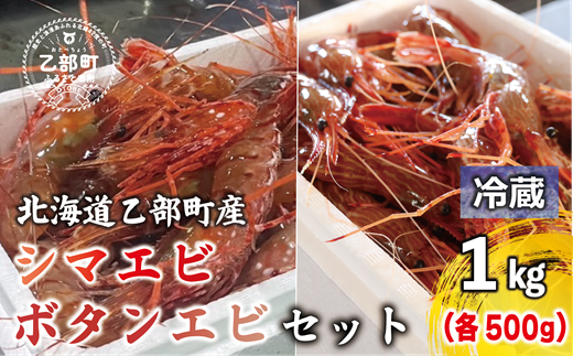 ＜ボタンエビ・シマエビ(冷蔵) 1kg(各500g)＞北海道乙部町産 産地直送