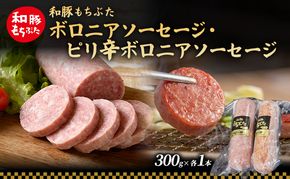 和豚 もちぶた ボロニア ピリ辛ボロニアソーセージセット 各1本 和豚 もち豚 豚肉 ポーク お肉 ピリ辛 肉 豚 ぶた ブタ 加工肉 アウトドア
