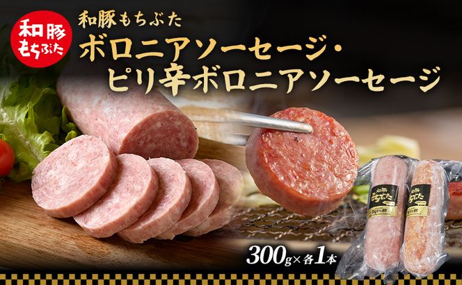 和豚 もちぶた ボロニア ピリ辛ボロニアソーセージセット 各1本 和豚 もち豚 豚肉 ポーク お肉 ピリ辛 肉 豚 ぶた ブタ 加工肉 アウトドア
