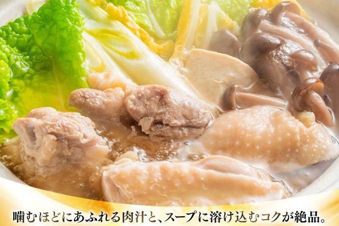 【3回定期便】 水炊き 鍋セット 訳あり 博多水炊きセット 10人前 2人前 × 5セット 3回 定期便 総計30人前 [MEAT PLUS 福岡県 宇美町 um40azp010050] みずたき 鶏肉 鍋 スープ セット 冷凍 小分け 定期 3ヶ月 水炊きセット 国産