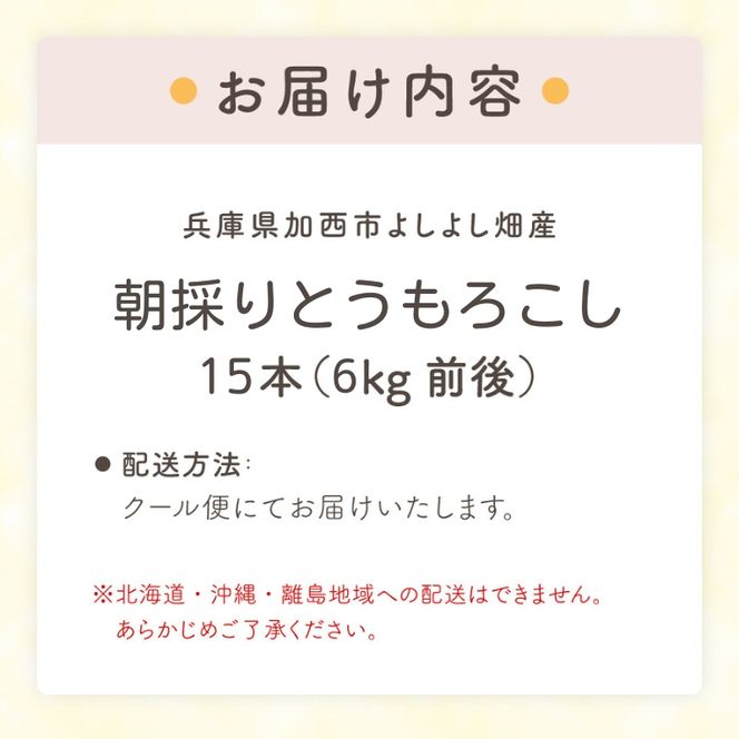朝どり とうもろこし 15本（6kg前後）よしよし畑 農家直送