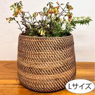 ラタンコロンバスケット（Lサイズ）BV-67