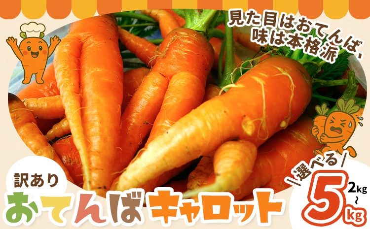 人参 訳あり にんじん ニンジン キャロット 2kg 5kg[12月中旬-3月上旬頃出荷]熊本県 大津町 人参 送料無料 にんじん キャロット 熊本県産 にんじん 5kg---oz_wknnjn_g123_25_3500_2kg---