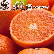 ＜2月より発送＞厳選 津之輝10kg+250g（傷み補償分）｜つのかがやき【光センサー選別】 ※北海道・沖縄・離島への配送不可 ｜ 柑橘 フルーツ 果物 濃厚 春 旬 和歌山 先行予約 選べる 国産 産地直送 春柑橘 美浜町　※2026年2月上旬～4月中旬頃に順次発送予定