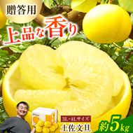 【先行予約】【果樹園直送】土佐文旦 特選品贈答用 約5kg 3L～4Lサイズ 7～8個入り〈2027年2月中旬～3月中旬頃発送〉大玉 ぶんたん ブンタン フルーツ 柑橘 みかん 果物 くだもの 柑橘類 高知県 土佐市【白木果樹園】 [BQAI001]