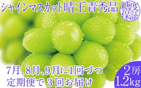 2026年予約受付中【3回定期便】シャインマスカット晴王2房 約1.2kg 7月8月9月に出荷 人気 岡山県産 種無し 皮ごと食べる みずみずしい  フレッシュ 晴れの国 おかやま 果物大国 ハレノフルーツ