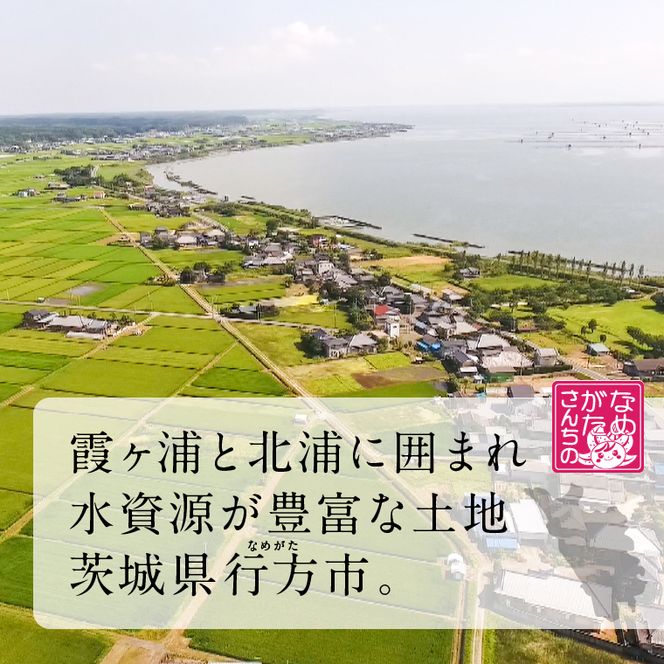 【最短翌日発送】 パックライス コシヒカリ もち麦 160g×18食｜パックライス スピード 茨城県 行方市(HE-5)