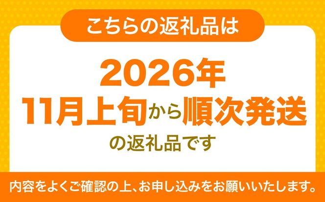 【先行予約】温州みかん 3kg（2026年11月上旬より順次発送）IKTF032
