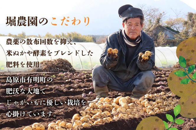 AK077 じゃがいも ながさき黄金 出島 じゃがいも食べ比べセット 計5kg [ 野菜 芋 ジャガイモ じゃがいも 5キロ ほくほく 国産 常備野菜 合同会社YT 長崎県 島原市 ]