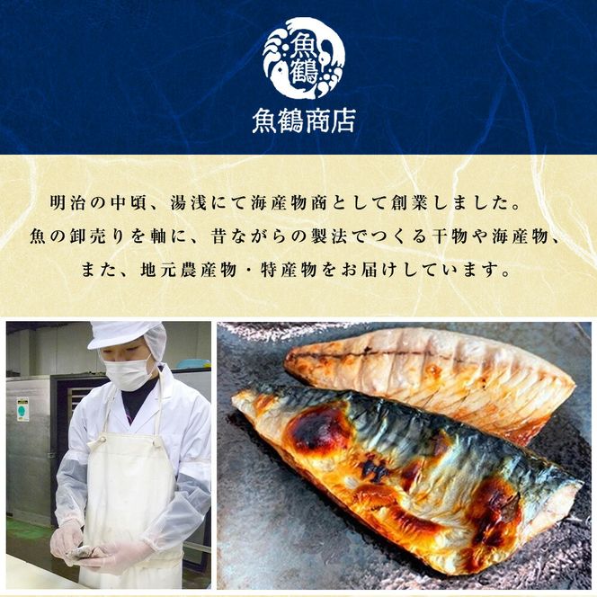 G7303_【ご家庭用 訳あり】人気の塩さばフィレ ＆ 紅鮭切身セット 計2kg