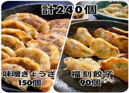 【ボリューム満点】居酒屋のおかあちゃん手作り “パリパリひと口ぎょうざ”と“もちもち餃子”コラボセット 合計240個 H136-051