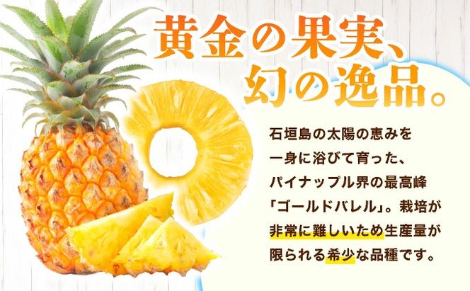 ≪5月上旬順次発送≫ 訳あり ゴールドバレル 小 3玉（約3kg） TP-18