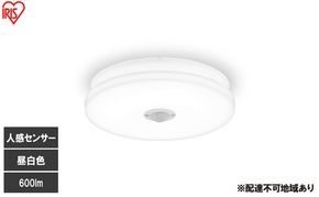 LED小型シーリングライト 人感センサー付 昼白色 SCL6N-MS-U2 シーリングライト LED 小型 薄型 led おしゃれ 照明 照明器具 アイリスオーヤマ 天井 簡単取付 省エネ コンパクト キッチン 廊下 トイレ 小型シーリングライト 人感 人感センサー