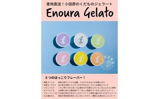 【定期便 9回】 小田原産江之浦ジェラート６種（みかん、湘南ゴールド、ブルーベリーミルク、いちごミルク、キウイヨーグルト、甘夏ヨーグルト）120mlカップ各２個合計１２個 142069_GJ088