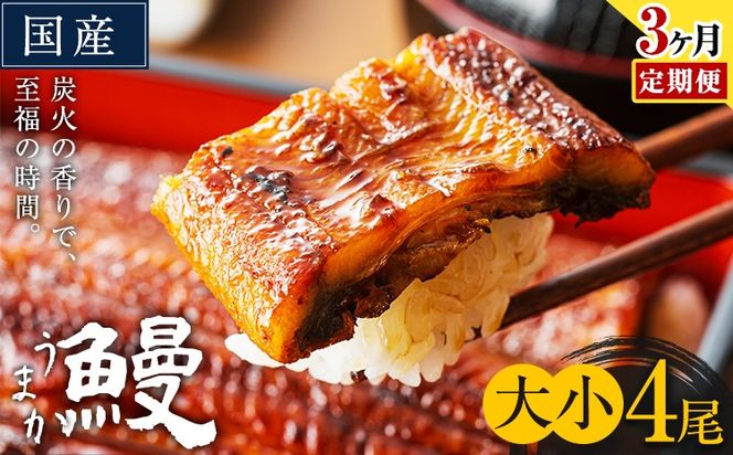 【3ヶ月定期便】うなぎ 大小 4尾  国産 鰻 真空パック おすすめ うなぎの蒲焼 《お申込み翌月から出荷》 ふるさとのうぜい 特上 簡易包装 ウナギ unagi 蒲焼 秋 冬 旬 配送時期 冷凍---mifune_lcl_1339_mo3---