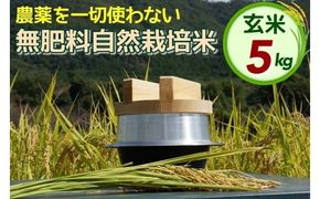 米 令和6年産 自然栽培米 にこまる ＜農薬を一切使わない無肥料栽培＞ 玄米 5kg 《新米 京都丹波産 無農薬米栽培向き 厳選品種》