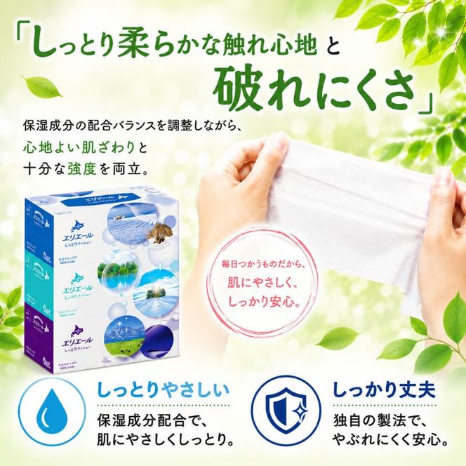 【定期便 3ヵ月連続お届け】エリエール 〈アソート〉贅沢保湿 200W3P 計9箱 北海道 しっとりティシュー なまらたっぷり 240組3箱 計6箱 ティッシュ ペーパー 箱 日用品 生活必需品 保湿成分配合 ティッシュ 紙
