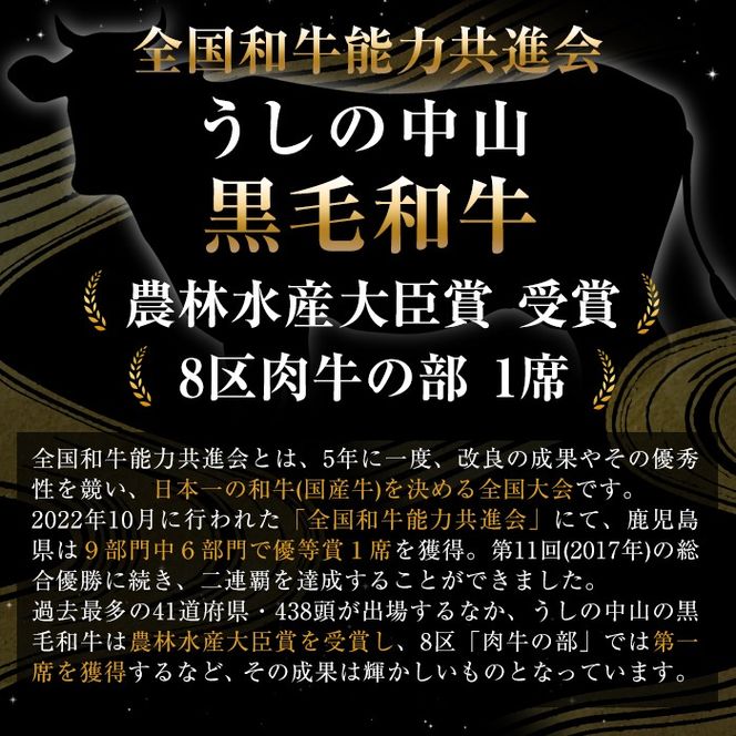 【数量限定】鹿児島県産 A4・A5等級うしの中山黒毛和牛霜降り薄切り500g b5-187